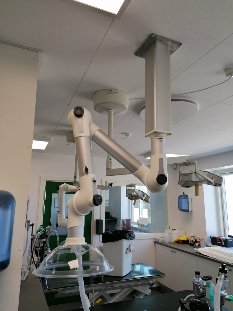 Dyrehospitalet, Sønderborg